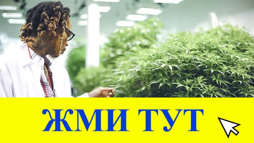 Купить наркотики в Обояни